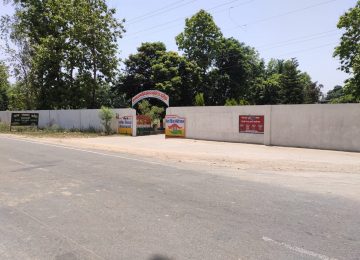 College Front