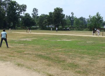 Cricket