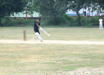 Cricket